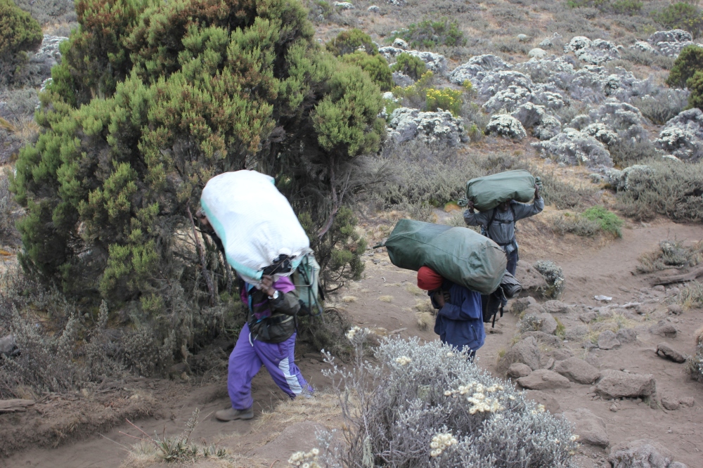 Book Kilimanjaro with KPAP Tour Operator